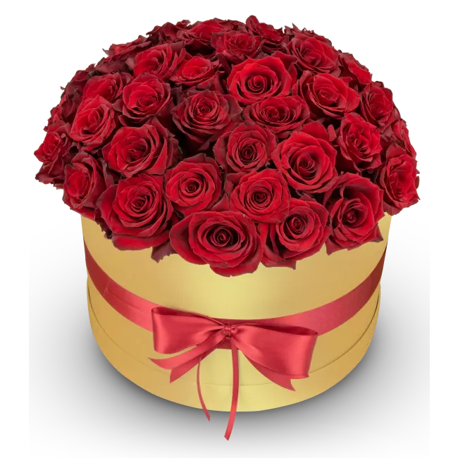 Box červených růží